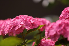 貴方へ　３