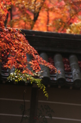 一瞬