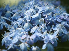 あなたの心へ届く日が