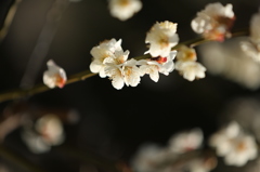 季節