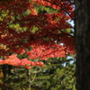 穏やか