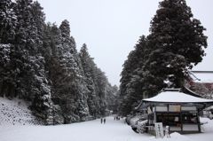 風も厳かに吹く