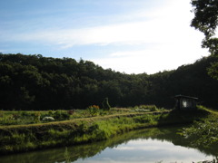 散歩道