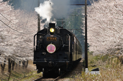 大井川鉄道SL2