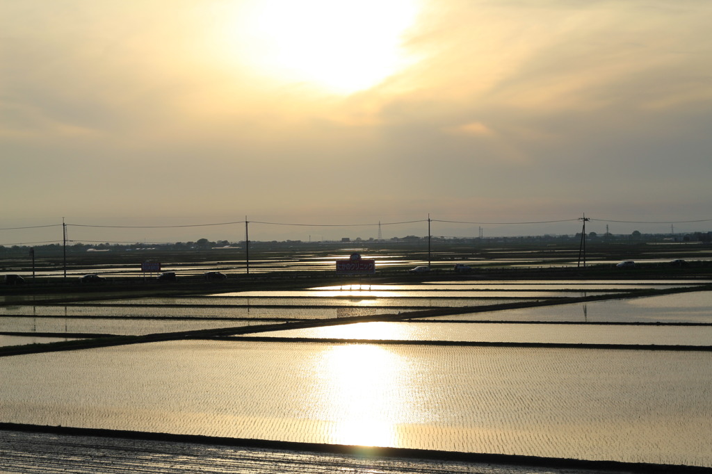 田園