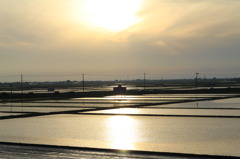 田園