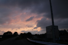 IMG_0737
