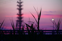 IMG_1044