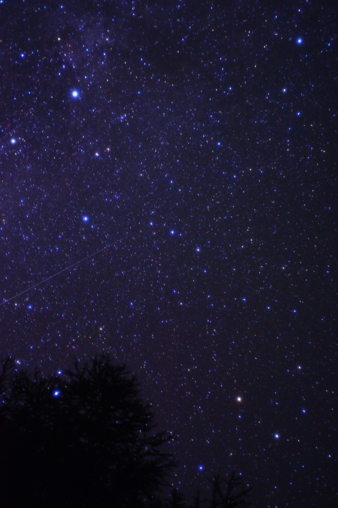 星降る夜