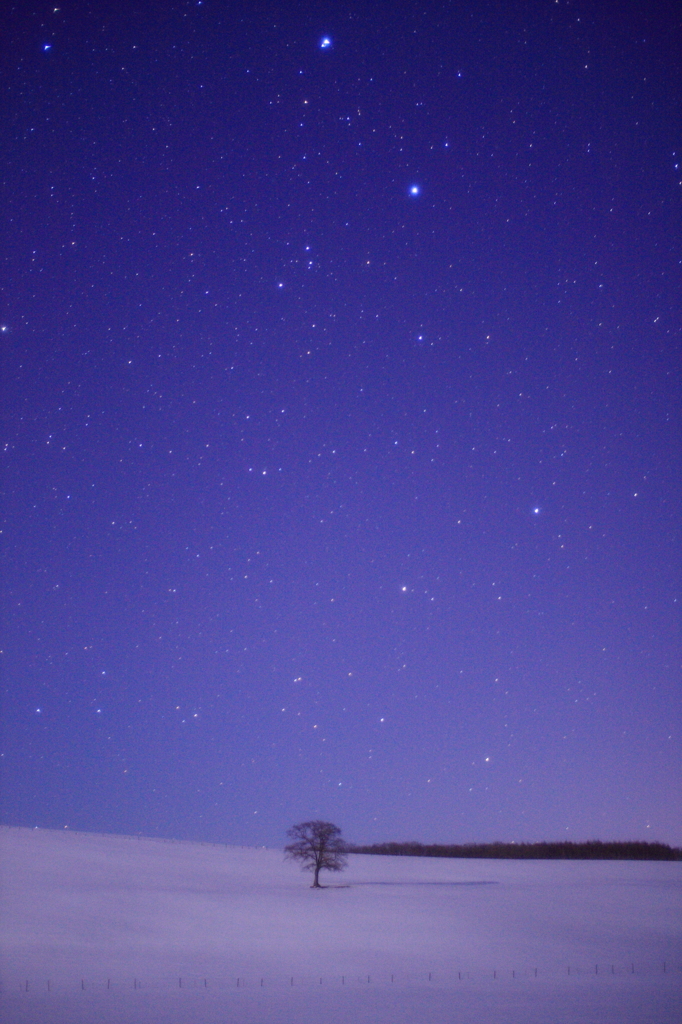 星の彼方に