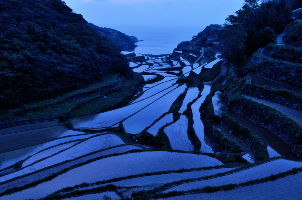 浜野浦の棚田