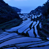 浜野浦の棚田
