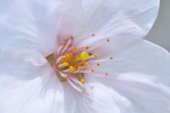 ZUN_3384