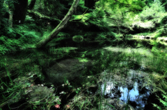 ZUN_5172