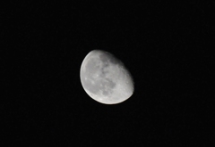DSC_0843