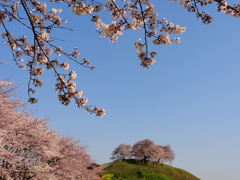 さきたま古墳公園