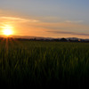 夕焼け（2010/7/20）