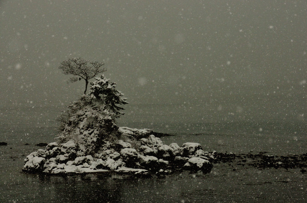 雪化粧