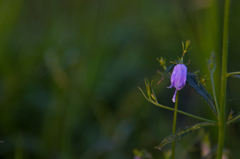 _MG_1578-2