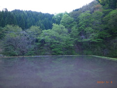 田んぼの水