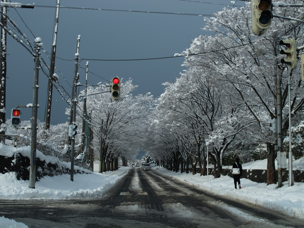 ぬれ雪の朝