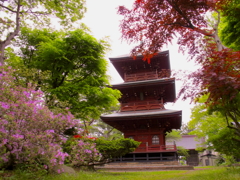 春の三重塔