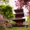 春の三重塔