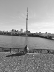 2013.1.1 TOKYO