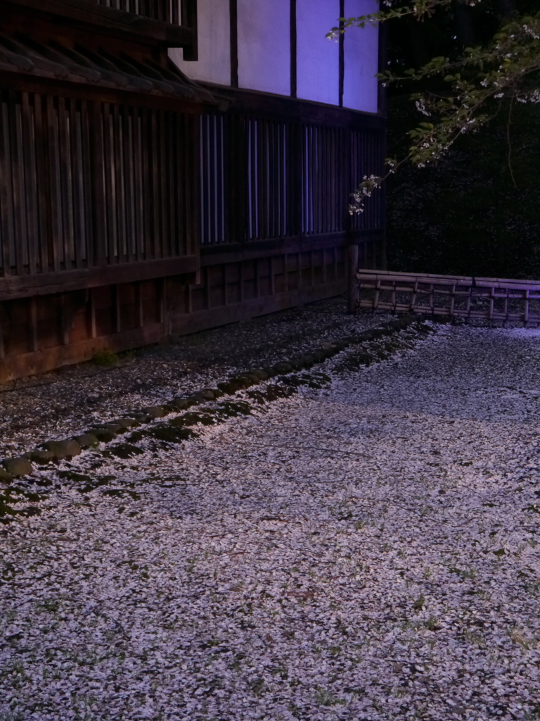 桜通りの裏