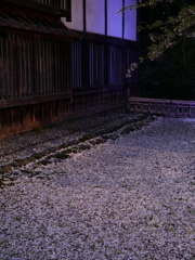桜通りの裏