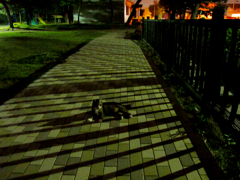 夜の彷徨　二