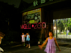NIGHT ZOO