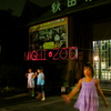 NIGHT ZOO
