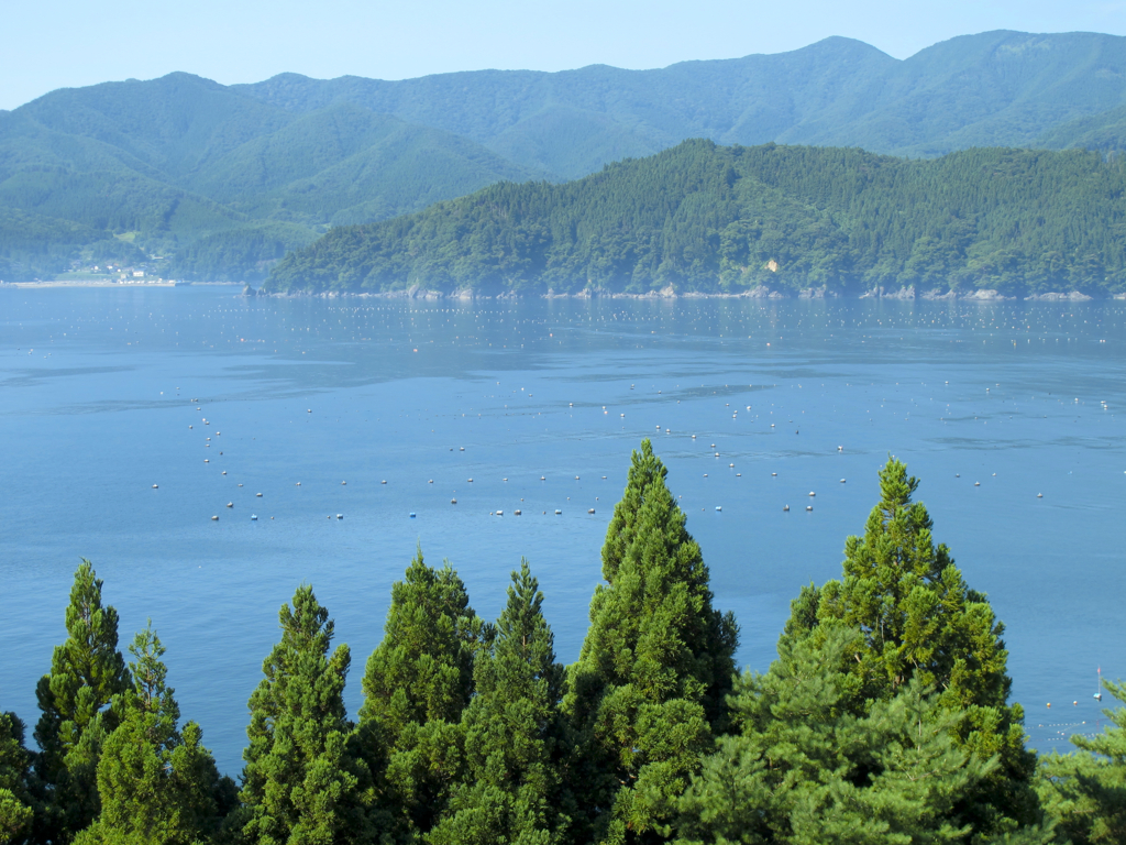 越喜来(おきらい)の海