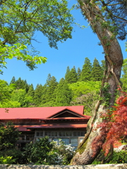 山あいの家