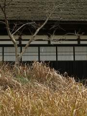 ゆきをまつ。