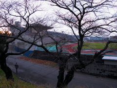 競技場横