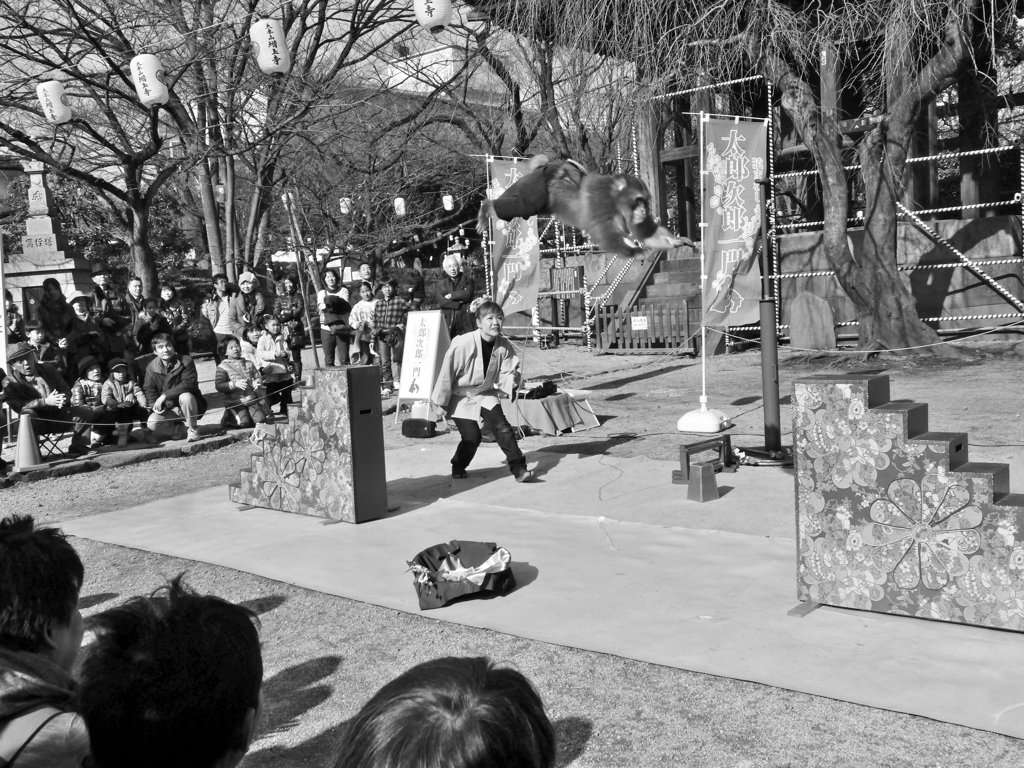 2013.1.2 TOKYO