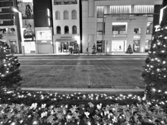 2013.1.1 TOKYO