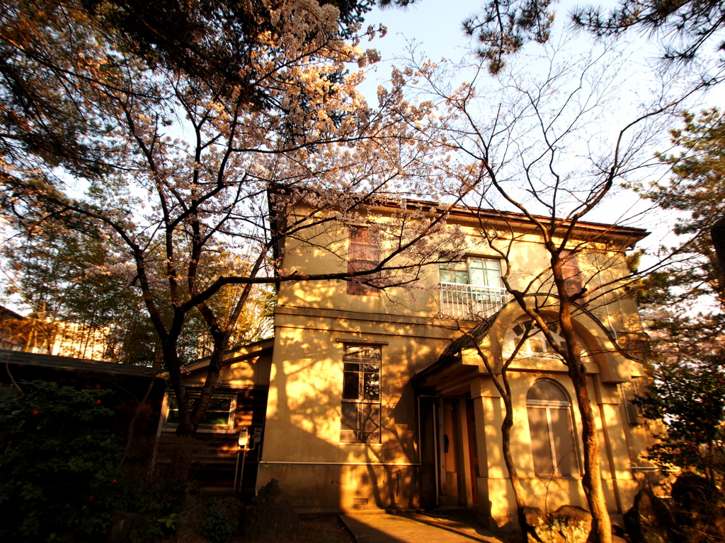 旧　早川産婦人科医院