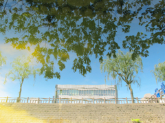 川の中の街