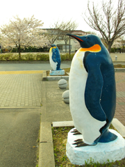 春のペンギン