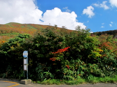 山のバス停