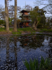 日吉八幡神社　夕景