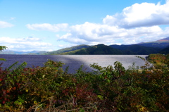 書割の海