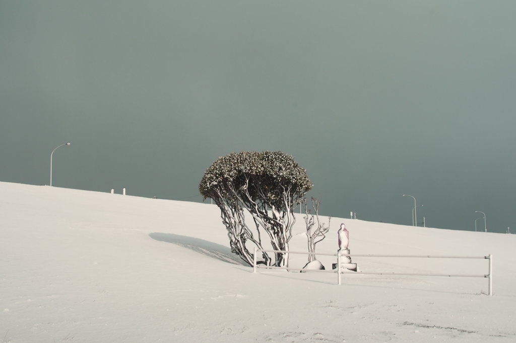 吹雪がやんだ