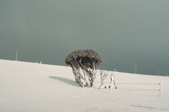 吹雪がやんだ