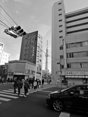 2013.1.1 TOKYO