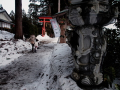 雪、溶けたね