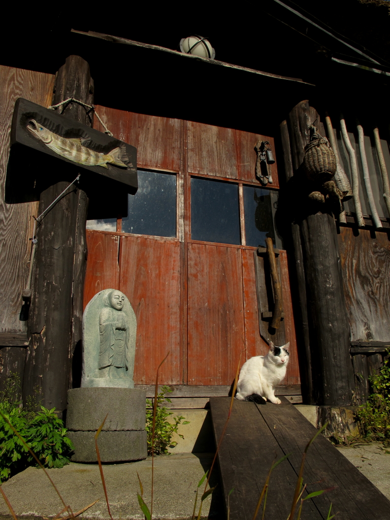 アトリエと猫